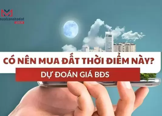 Năm 2025: Liệu rằng “Có nên mua đất thời điểm này?”