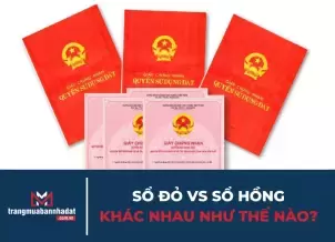 Sổ đỏ vs sổ hồng khác nhau như thế nào? Phân biệt đúng để tránh rủi ro khi mua nhà