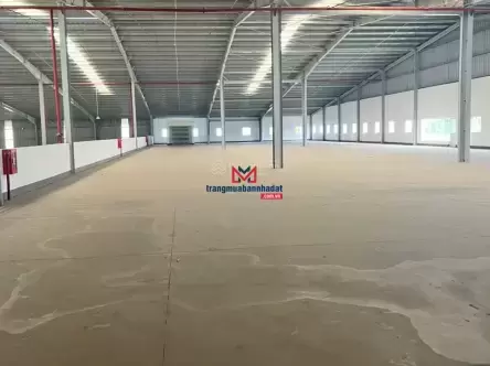 Bán Xưởng Tại Khu Công Nghiệp Bến Cát, Bình Dương