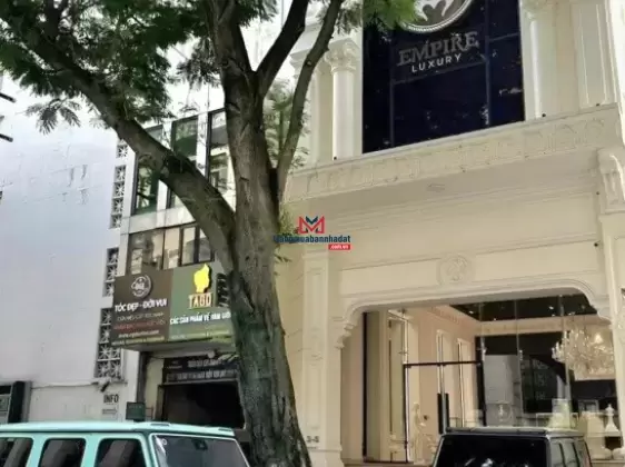 Bán tòa nhà 10 tầng mặt tiền Pasteur - Quận 1