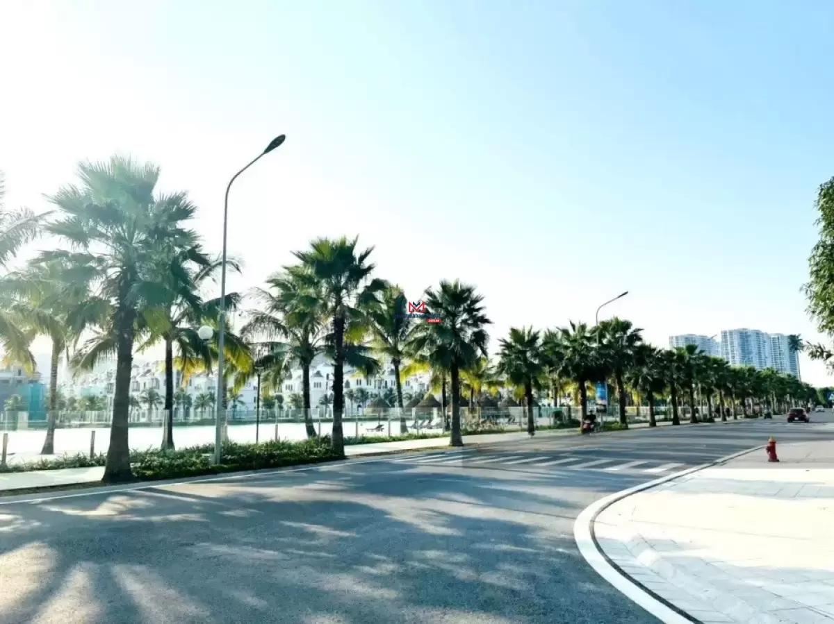 classifieds/2025_01/21/sieu-pham-song-lap-150m2-gan-ho-chi-28-ty-tai-vin-ocp1-gia-lam-3.jpg