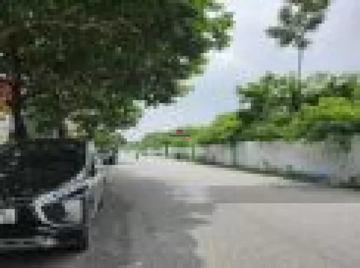 classifieds/2025_01/23/ban-biet-thu-him-lam-vinh-tuy-duong-70m-view-san-golf-268m2-3.jpg