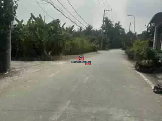 Bán đất 917m2, 11,5 tỷ, Nhị Bình, Hóc Môn, view đẹp, pháp lý đầy đủ