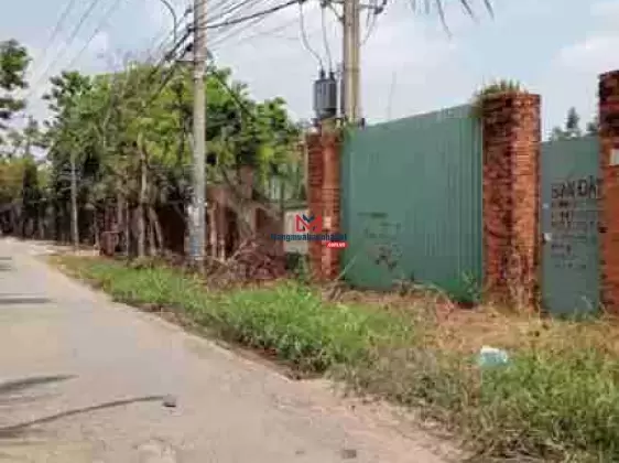 Ngộp!!! Lô đất ngang gần 10m MT nhựa - Bình Mỹ - Củ Chi giá bán 980tr