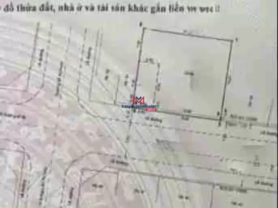 Còn Lô duy nhất 48 đường Số 81, Tân Quy, Quận 7. DT: 331,5m2 (19,5m x 17m), giá: 69 tỷ có TL