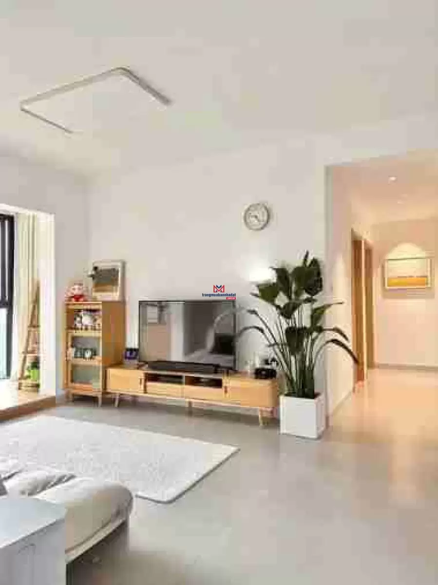 classifieds/2025_01/can-ho-50m2-tai-can-tho.jpg