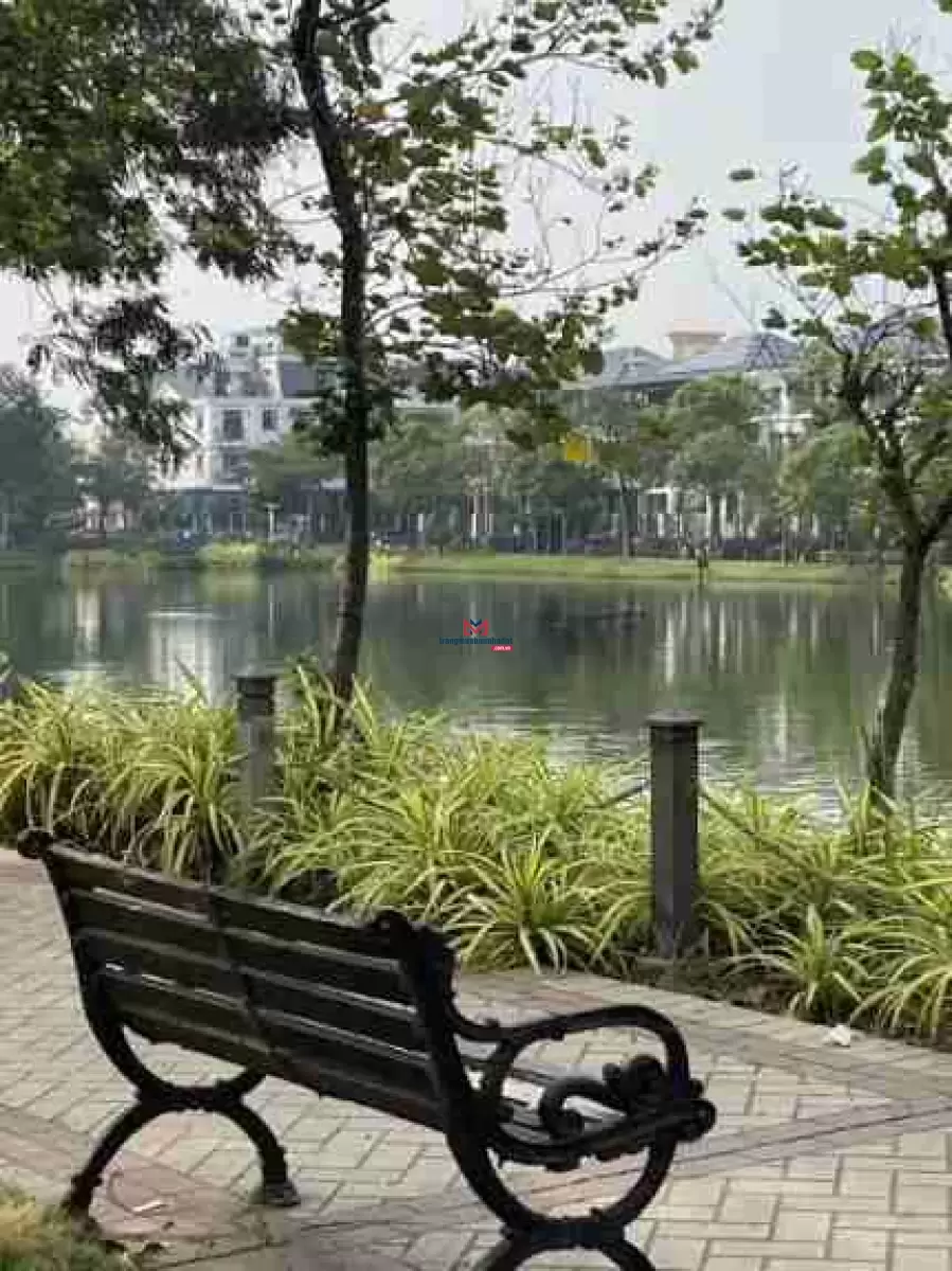 classifieds/2025_01/dat-biet-thu-view-song-thu-duc3.jpg