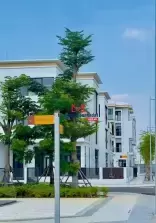 classifieds/2025_02/biet-thu-goc-lon-nhat-du-an-tampt-city-millennia-1.jpg
