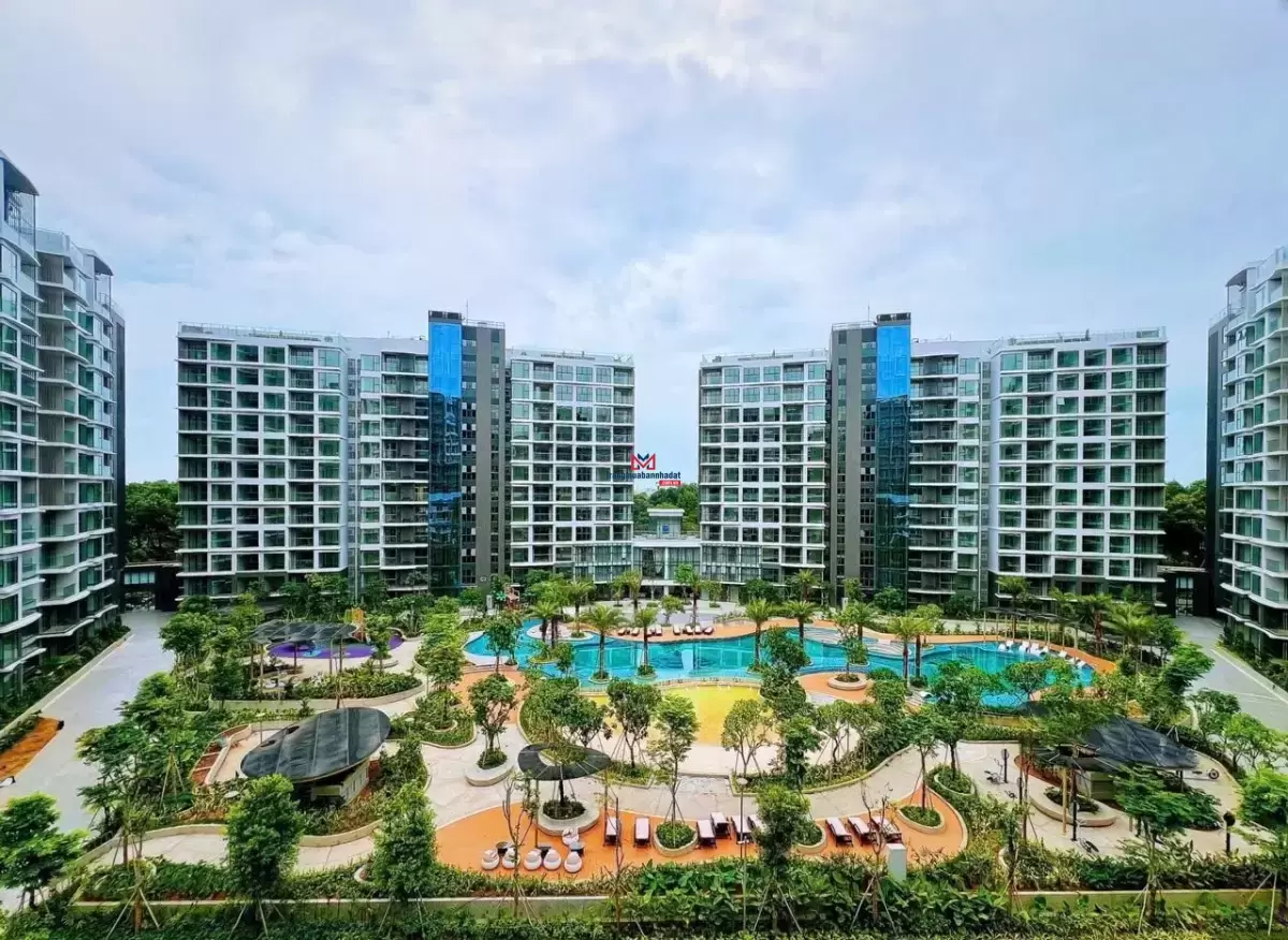 classifieds/2025_02/tuan_1/ban-can-ho-chung-cu-duong-n1-phuong-son-ky-3.jpg
