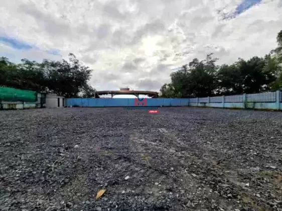 Bán CN 1000m2 đất trồng cây lâu năm tại Phú Xuân - Nhà Bè