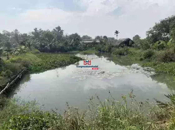 Đất vườn + hồ giấy tay - sát Vinhome Q9 5400m2 hẻm xe hơi - giá chỉ 3 tỷ