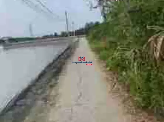 Cần bán miếng đất tại Xã Bình Khánh, Cần Giờ, Hồ Chí Minh
