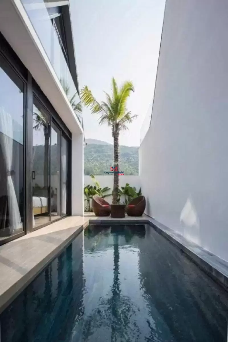 classifieds/2025_02/tuan_1/hang-hiem-tai-ly-tu-tan-15-ty-180m2-2.jpg