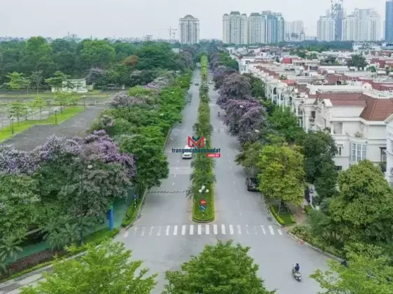 Bán biệt thự Ciputra view công viên và sân golf, thiết kế đẹp nội thất đầy đủ