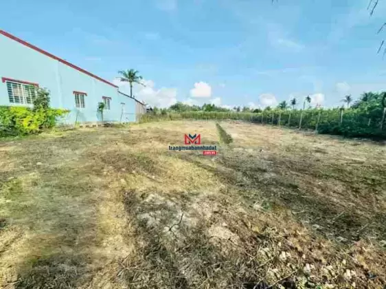 Bán đất chính chủ 978.2m2 - 2 MT đường liên xã, gần UBND xã Long Thới, chợ Lách, Bến Tre