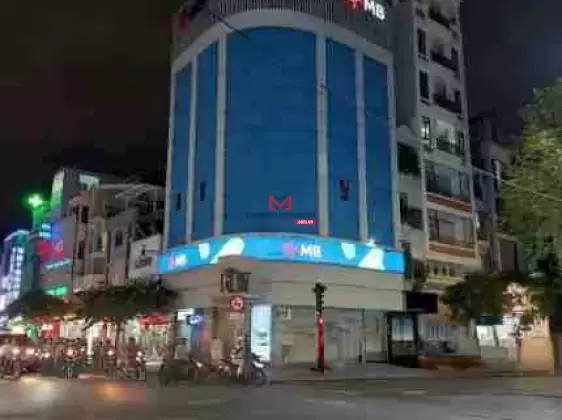Bán tòa nhà văn phòng góc 2MT Nguyễn Đình Chiểu + Nguyễn Thiện Thuật, Quận 3 - 10x15m - 8 tầng - HĐT 200 triệu - 60 tỷ