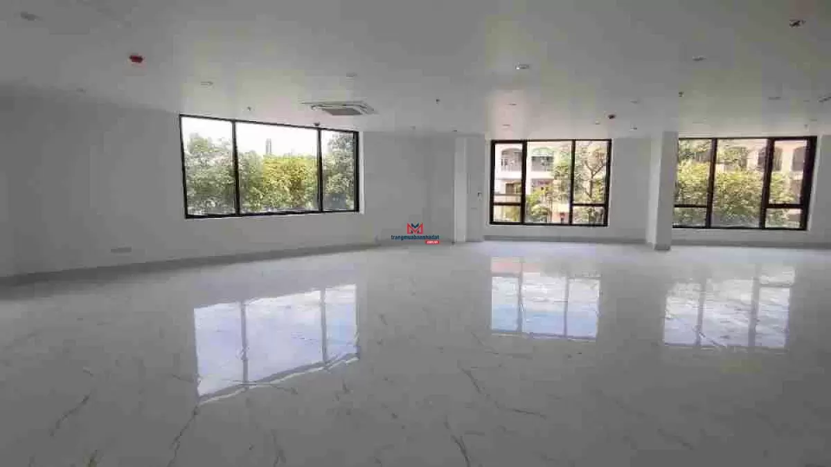 classifieds/2025_02/tuan_2/ban-toa-nha-vp-lo-goc-duy-tan-160m23.jpg