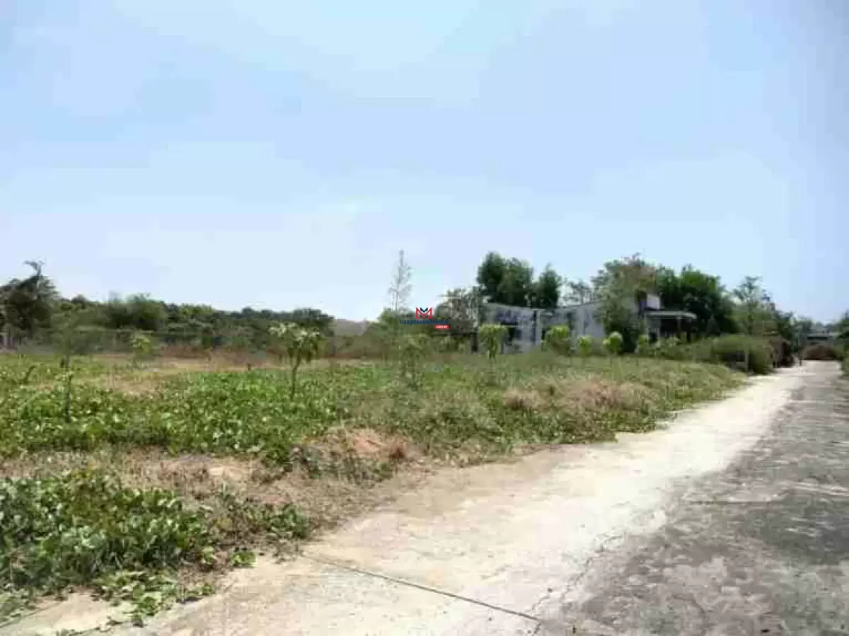 classifieds/2025_02/tuan_2/dat-mat-tien-duyen-hai3.jpg