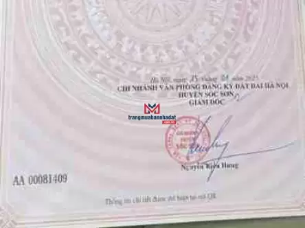 Đất phân lô giá đầu tư hợp lý nhất năm 2025 chỉ trên 10 triệu/m2, sở hữu đất tiềm năng
