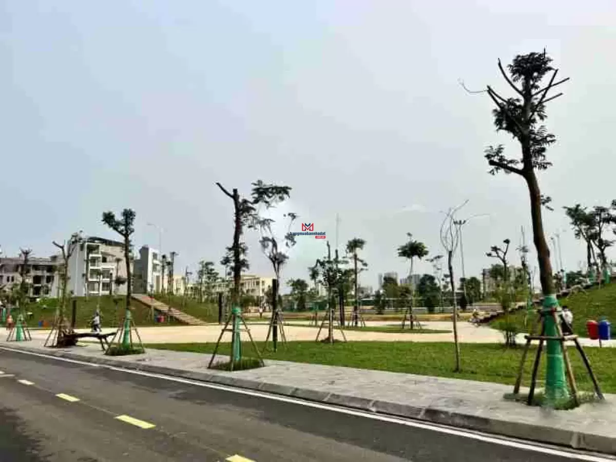 classifieds/2025_02/tuan_3/ban-dat-tddc-ngoc-thuy-ha-noi3.jpg