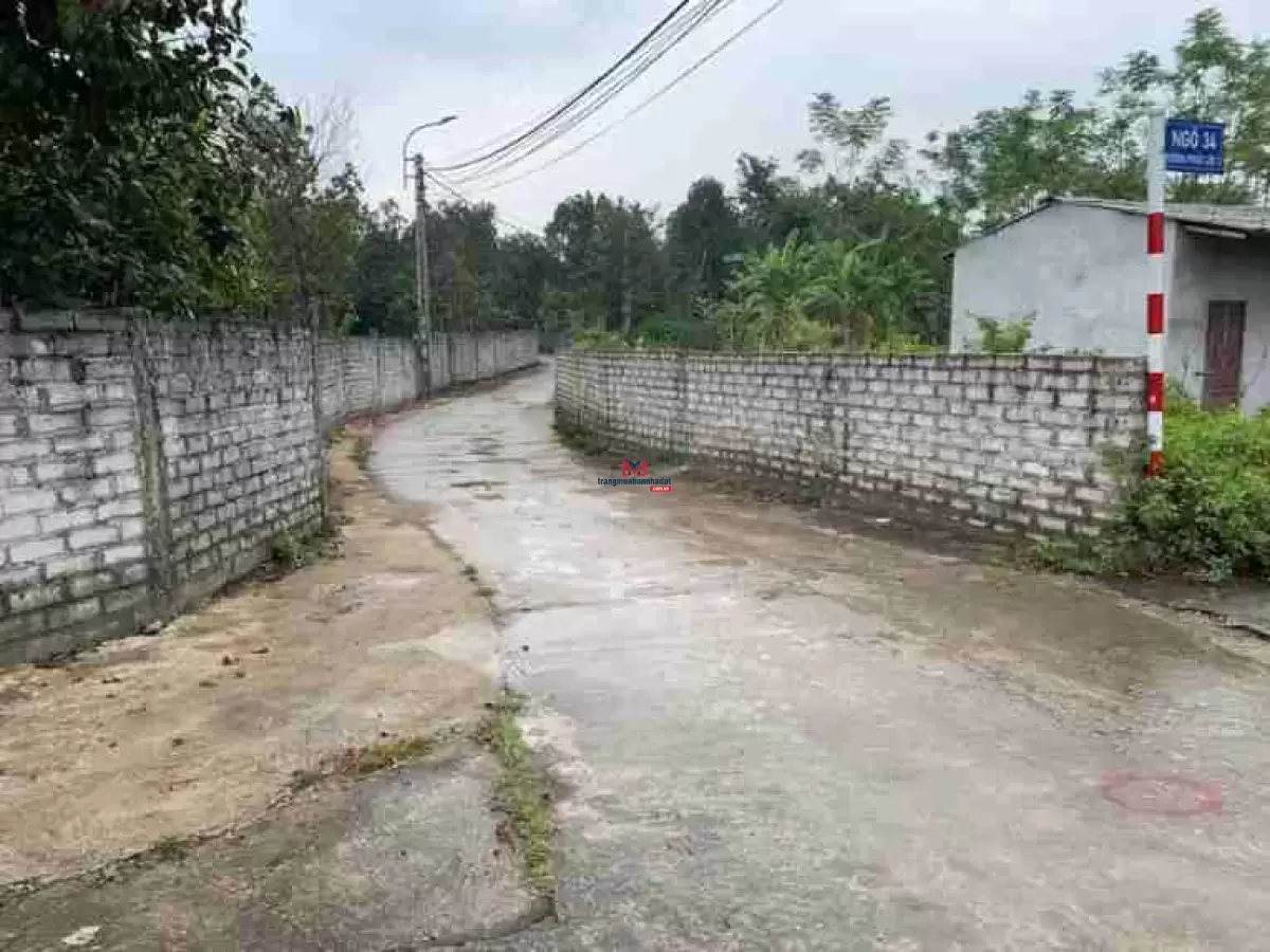 classifieds/2025_02/tuan_3/ban-dat-tho-cu-lo-goc-3-mat-tien2.jpg
