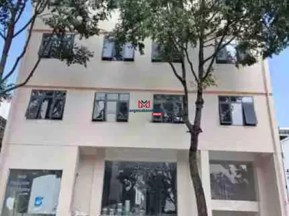 Bán toà nhà 5 tầng trung tâm Thủ Dầu Một 15x20m DT sàn 1771m2 có hoàn công,pccc