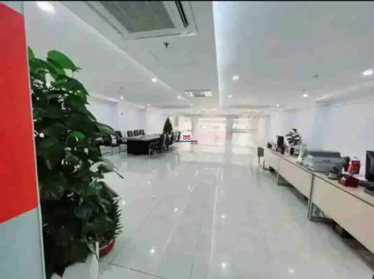 classifieds/2025_02/tuan_3/ban-toa-nha-building-mat-pho-thd2.jpg