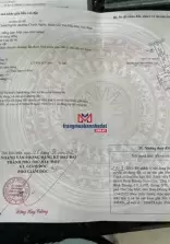 classifieds/2025_02/tuan_3/ban-toa-nha-tren-duong-ngo-gia-tu3.jpg