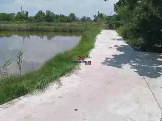 Chính chủ bán đất diện tích 4860m2 tại Phú Tân, Tân Phú Đông, Tiền Giang