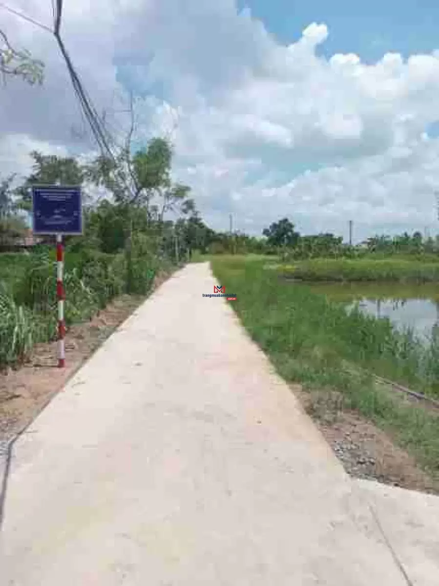 classifieds/2025_02/tuan_3/chinh-chu-ban-dat-dien-tich-4860m2-3.jpg