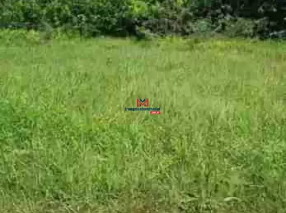 Đất đầu tư Bến Lức, Long An: Chỉ 6tỷ cho 1600m2 - sổ riêng
