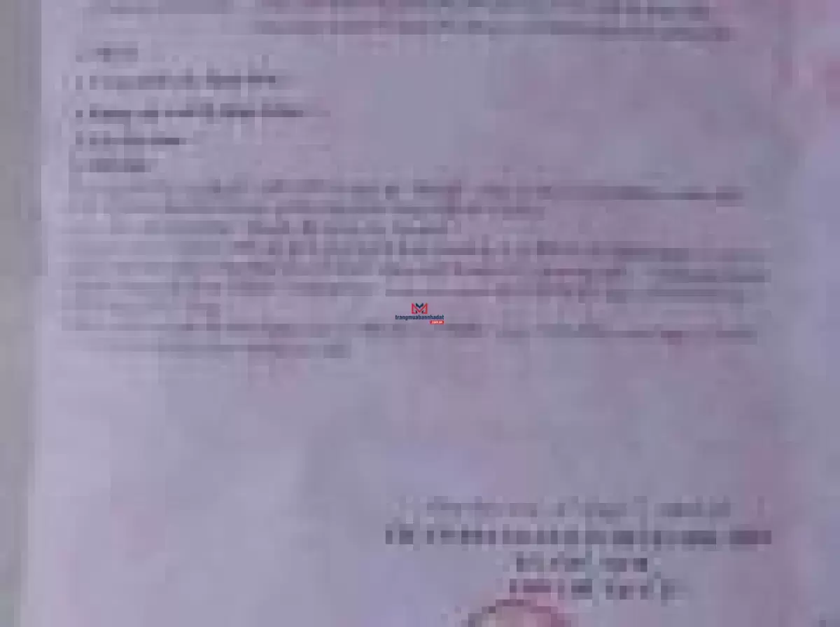classifieds/25/ban-1081-m2-dat-nhi-binh3.jpg