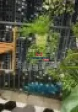 classifieds/25/ban-can-ho-du-an-the-miami-4.jpg