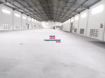 Bán Nhà Xưởng Mặt Tiền Đường Lũy Bán Bích, Tân Phú