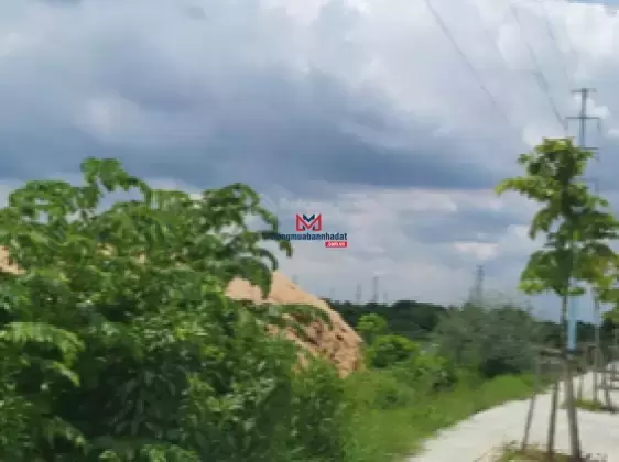 Bán kho xưởng tại Tân Hiệp huyện Hóc Môn – Lựa chọn lý tưởng đầu tư và sản xuất