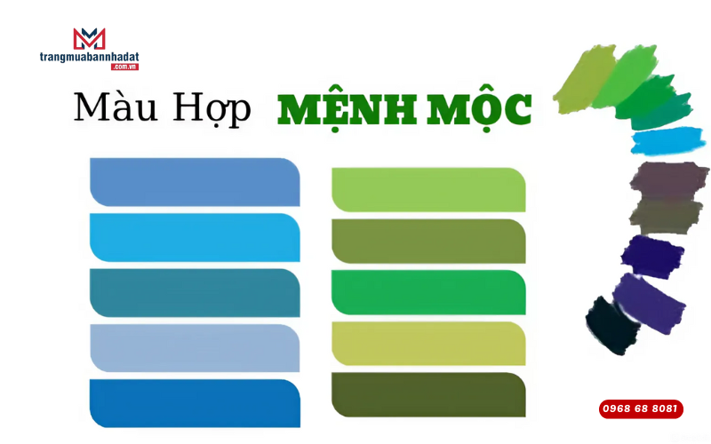 Bảng màu hợp với người thuộc mệnh Mộc giúp gia chủ phát tài và thịnh vượng