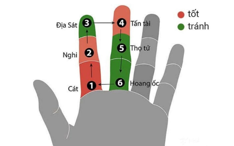 Trong phỏng thủy, Hoàng Ốc mang đến sự may mắn cho gia đình